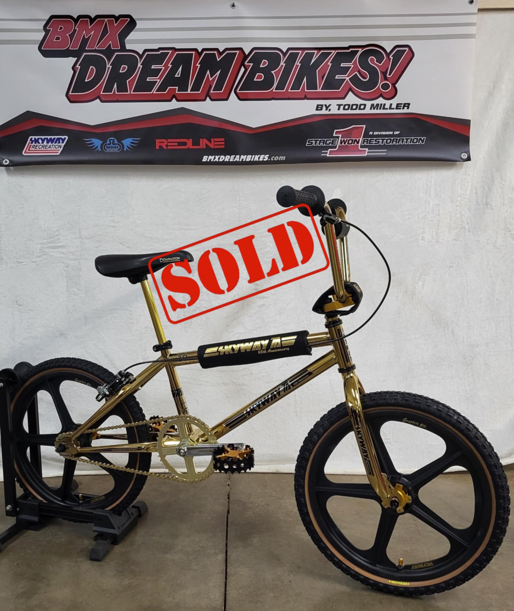 ゴールドカートリッジ　BMXトライアル Skyway60thMag-1sold.jpg